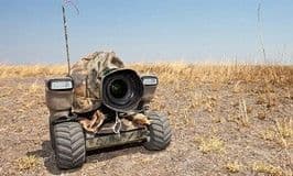 Необычная съемка диких животных в Африке