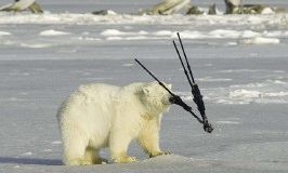 Штатив в фотосъемке