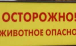 Фотосъемка в зоопарке