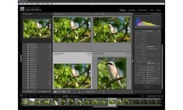Lightroom и форматы фотографий: JPG, RAW, TIFF