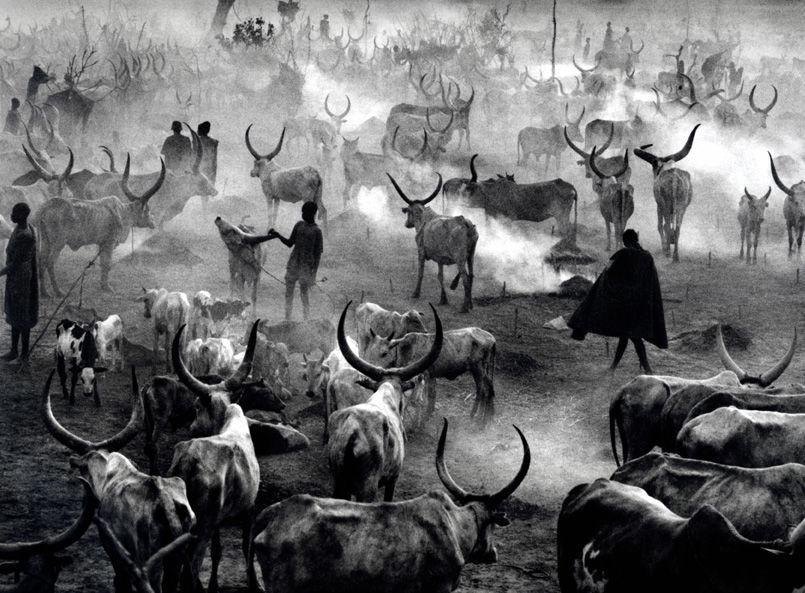 Фотограф Себастио Сальгадо (Sebastiao Salgado)