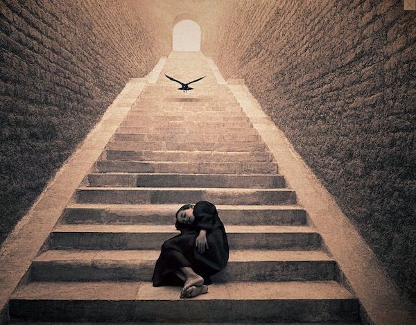 gregory colbert ashes +and snow