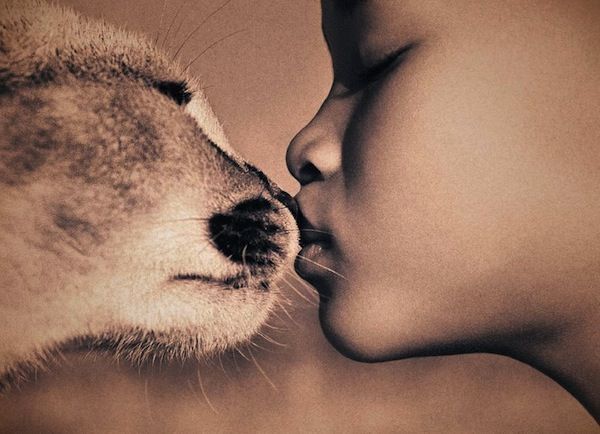 gregory colbert ashes +and snow gregory colbert ashes +and snow