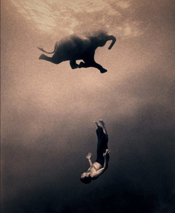 gregory colbert gregory colbert