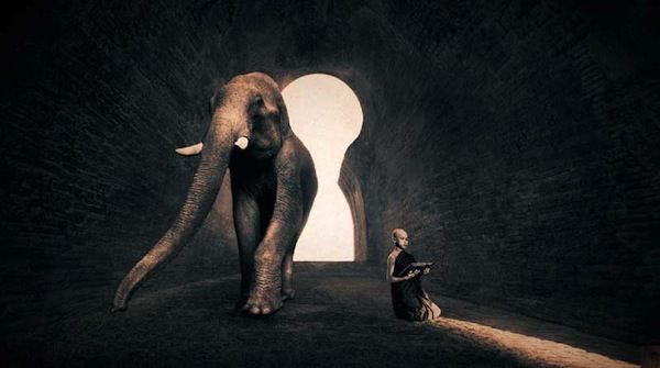 gregory colbert ashes +and snow gregory colbert ashes +and snow