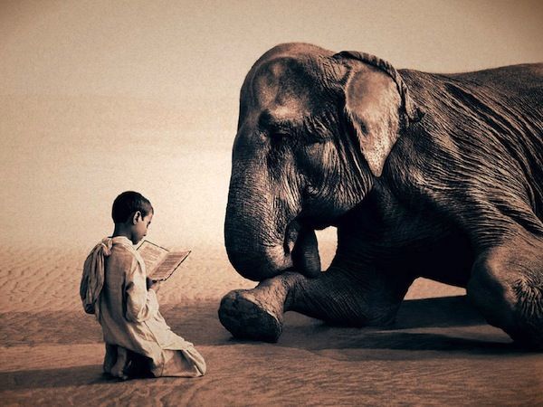 gregory colbert gregory colbert