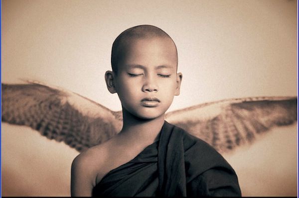 gregory colbert ashes +and snow gregory colbert ashes +and snow