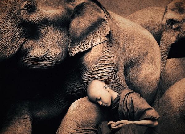 gregory colbert gregory colbert