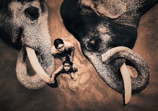 gregory colbert gregory colbert
