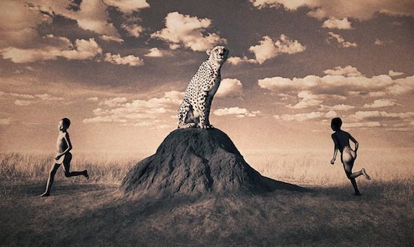 gregory colbert gregory colbert