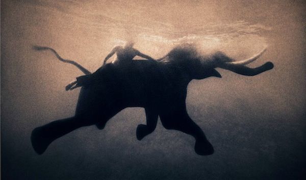 gregory colbert ashes +and snow gregory colbert ashes +and snow