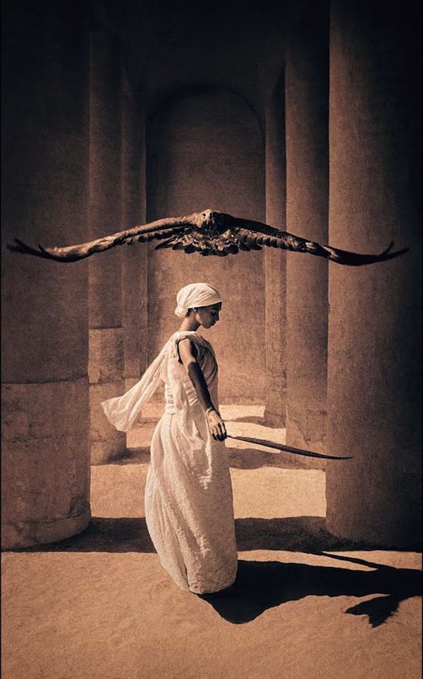 gregory colbert gregory colbert