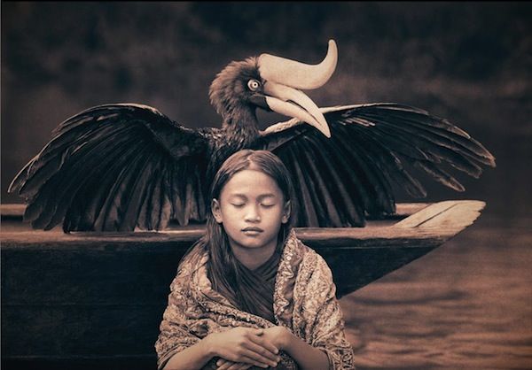 gregory colbert ashes +and snow gregory colbert ashes +and snow