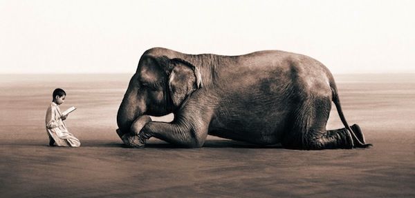 gregory colbert gregory colbert