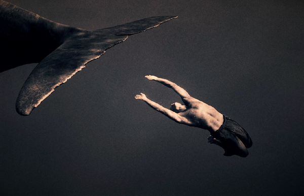 gregory colbert gregory colbert
