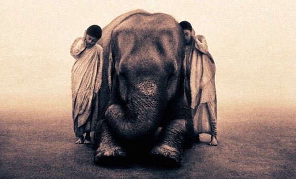 gregory colbert ashes +and snow gregory colbert ashes +and snow