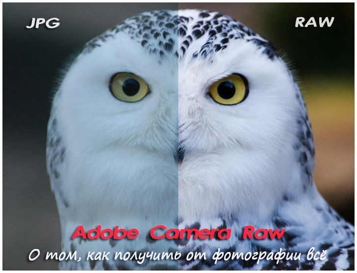 Софт: Adobe Camera Raw 6.7.