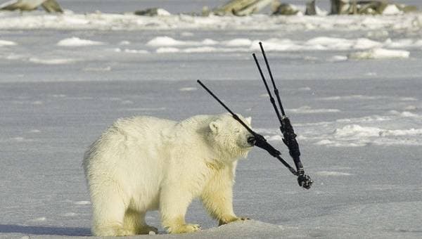 Штатив в фотосъемке