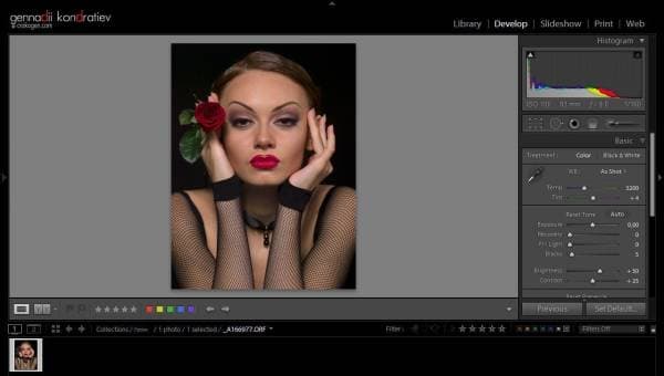 Портрет с Portraiture 2