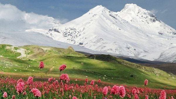 Близость прекрасного. Природа России