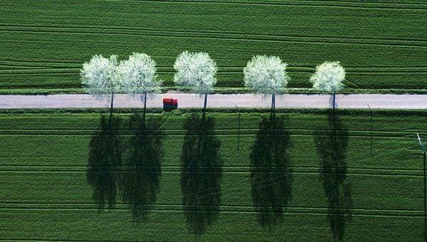 Фотограф Клаус Лейдорф (Klaus Leidorf)