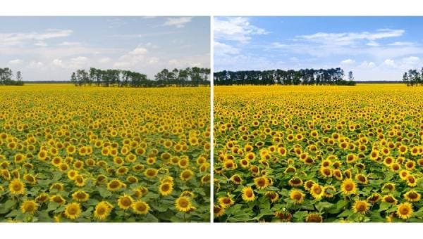 Обработка фотографий. Работа с цветом