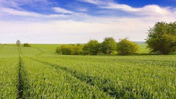 Crop. Композиционное мышление