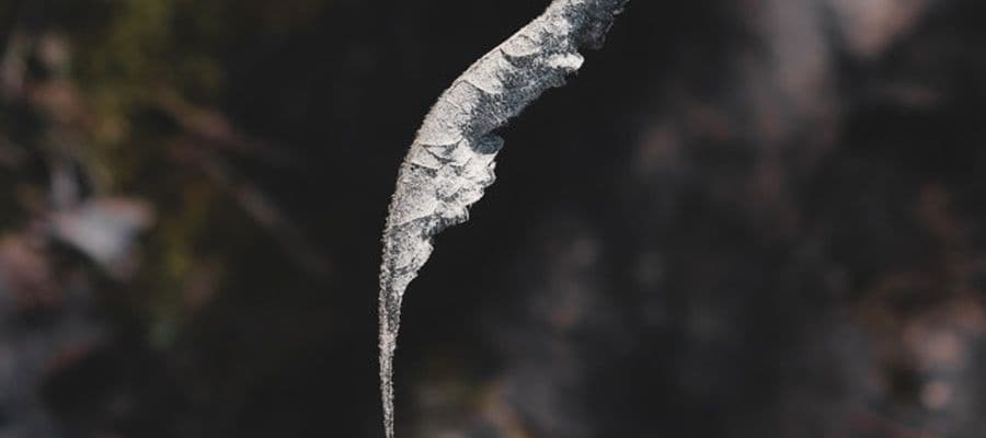 Как сделать ваши объекты