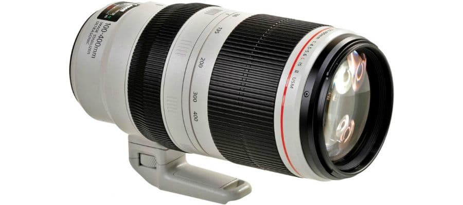 Обзор Canon 100-400mm F4.5-5.6L IS USM Mark II