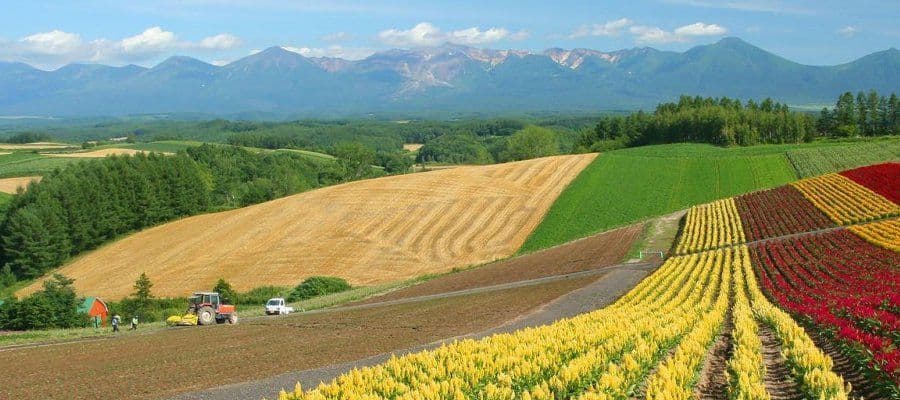 Роль света в создании фотографии отличного пейзажа
