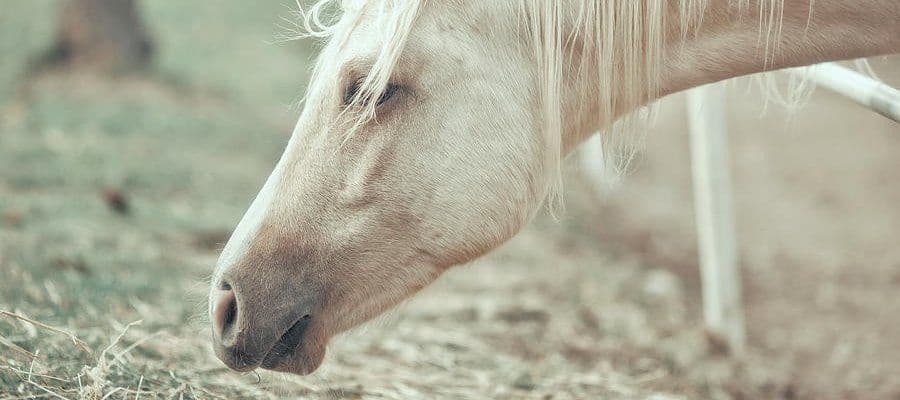 Кратко о фокусном расстоянии