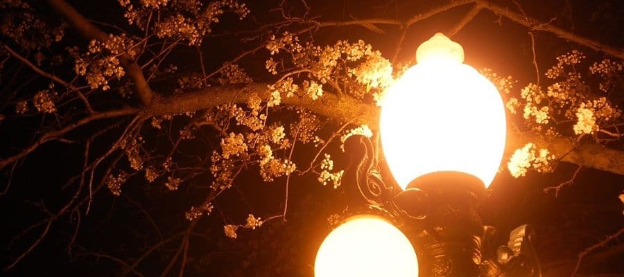 Съёмка при слабом освещении: спецэффекты и хитрости