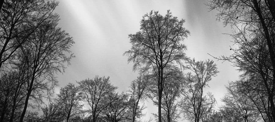 Черно-белая фотография - вершина искусства