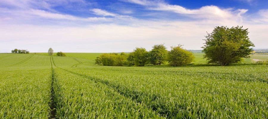 Crop. Композиционное мышление