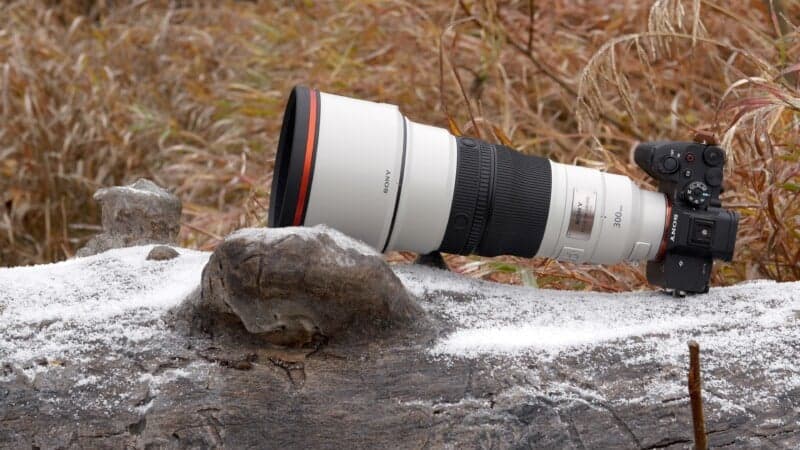 Объектив Sony 300mm f2.8 G Master — идеальный выбор