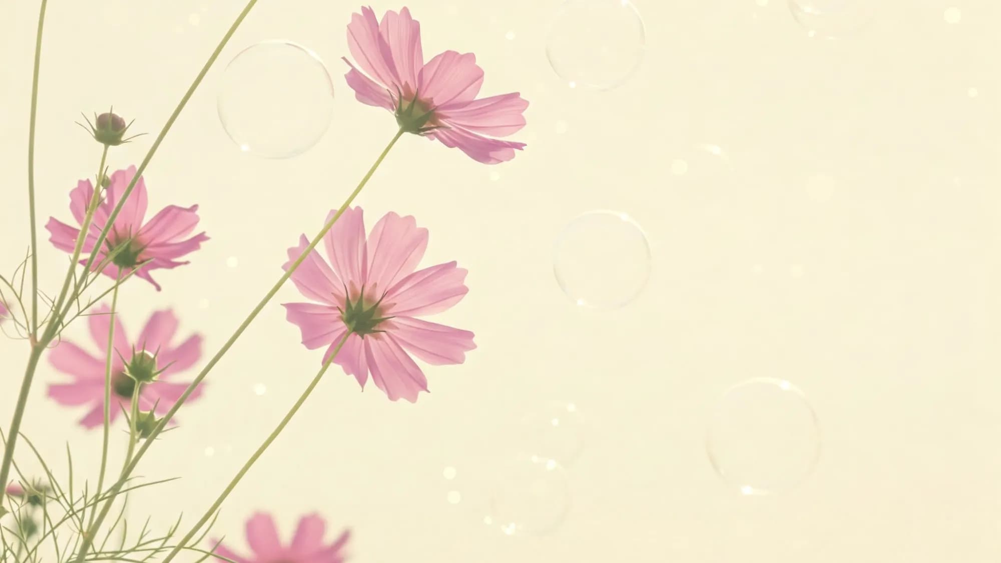 Весна в объективе: Как сделать волшебные фотографии весной?