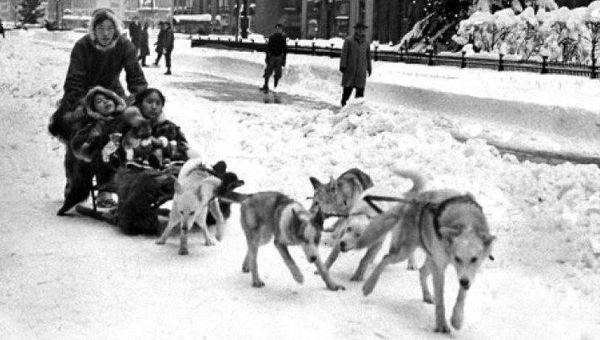 Советы по фотосъемке зимних сцен