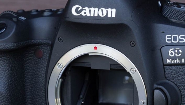 Стоит ли покупать Canon EOS 6D Mark II?