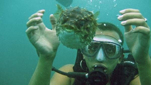 Как снимать под водой