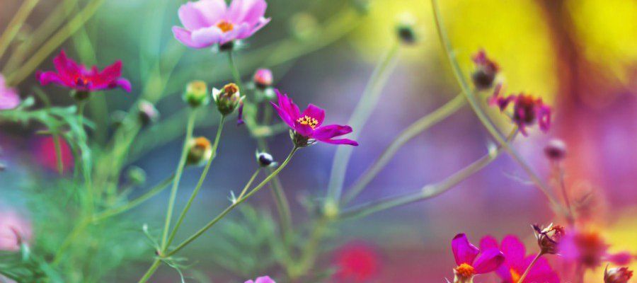 Понятие буфера кадров