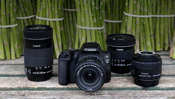 Сверхкомпактный Canon EOS 200D