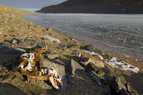 Джордж Штайнмец (George Steinmetz)