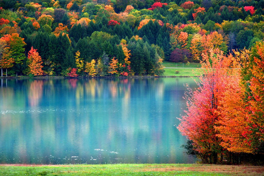 Фото На Фоне Осеннего Пейзажа