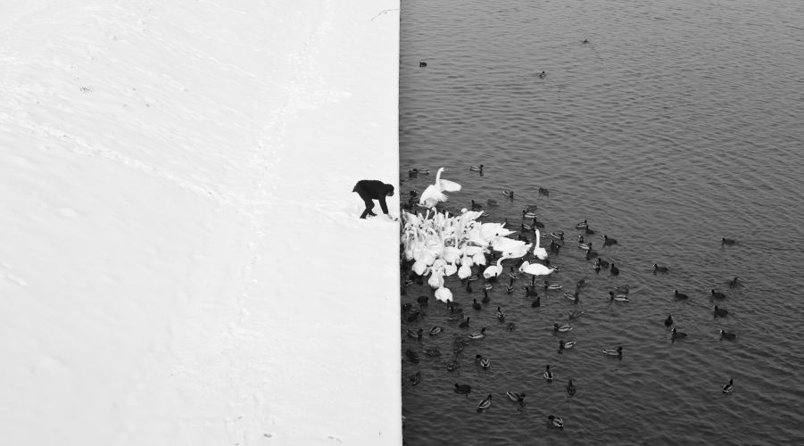 Черно Белый Мир Фото