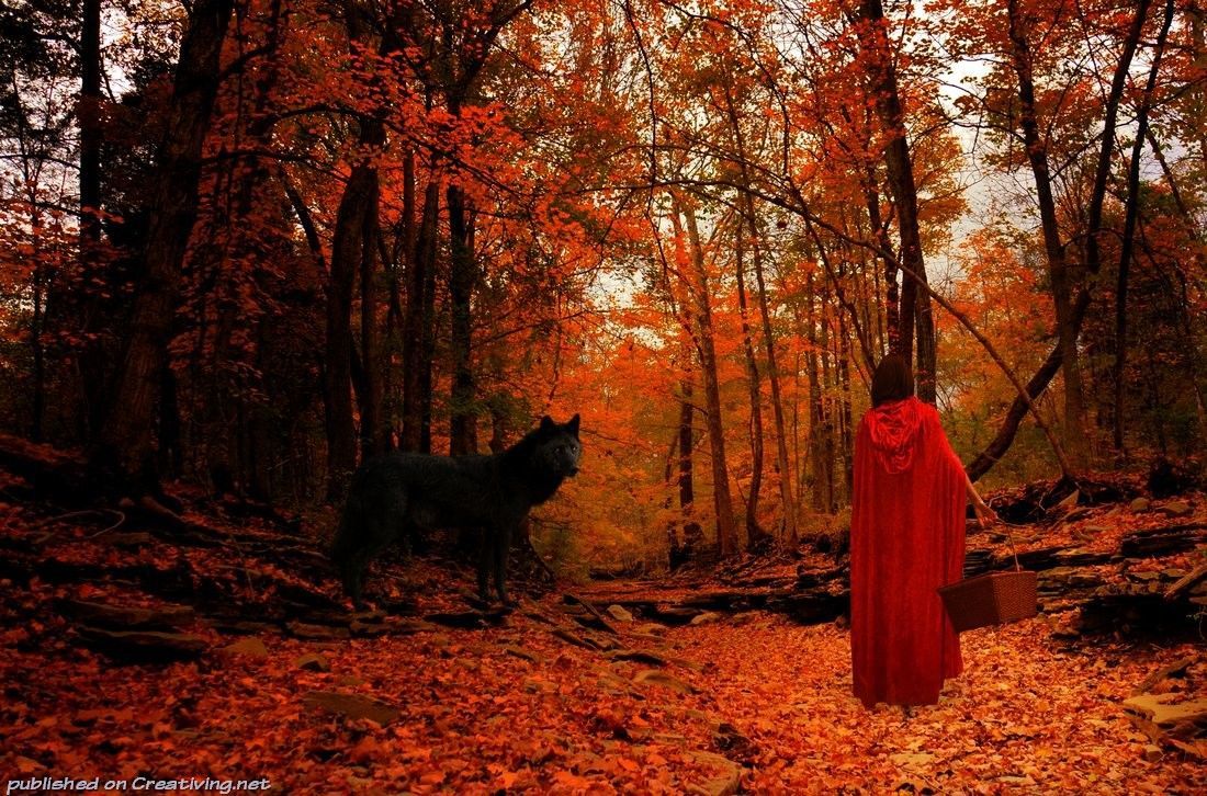 Как Сделать Фото В Осеннем Лесу
